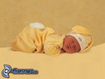 [obrazky.4ever.sk]%20zajac%204692180[1].jpg